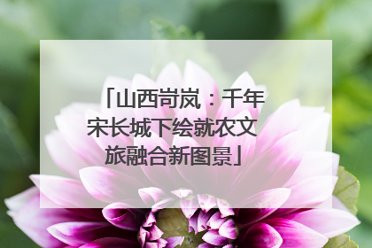 山西岢岚：千年宋长城下绘就农文旅融合新图景