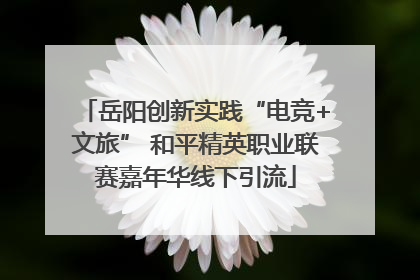 岳阳创新实践“电竞+文旅” 和平精英职业联赛嘉年华线下引流