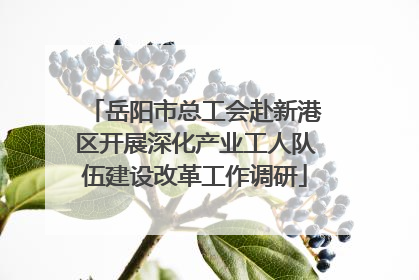 岳阳市总工会赴新港区开展深化产业工人队伍建设改革工作调研