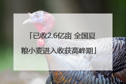 已收2.6亿亩 全国夏粮小麦进入收获高峰期