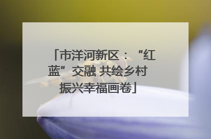 市洋河新区：“红蓝”交融 共绘乡村振兴幸福画卷