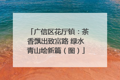 广信区花厅镇：茶香飘出致富路 绿水青山绘新篇（图）