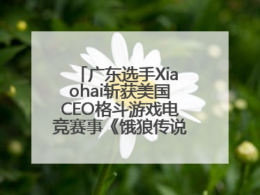 广东选手Xiaohai斩获美国CEO格斗游戏电竞赛事《饿狼传说》项目冠军