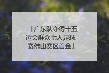 广东队夺得十五运会群众七人足球赛佛山赛区首金