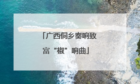 广西侗乡奏响致富“椒”响曲