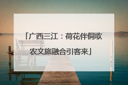 广西三江：荷花伴侗歌 农文旅融合引客来
