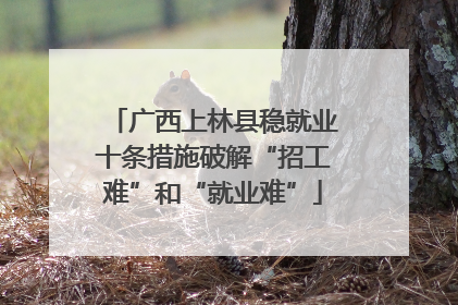 广西上林县稳就业十条措施破解“招工难”和“就业难”