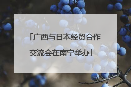 广西与日本经贸合作交流会在南宁举办