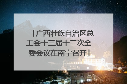 广西壮族自治区总工会十三届十二次全委会议在南宁召开