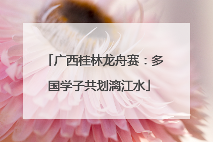 广西桂林龙舟赛：多国学子共划漓江水