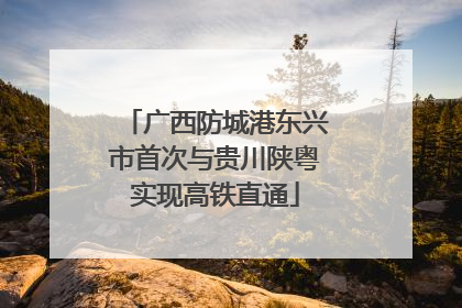 广西防城港东兴市首次与贵川陕粤实现高铁直通