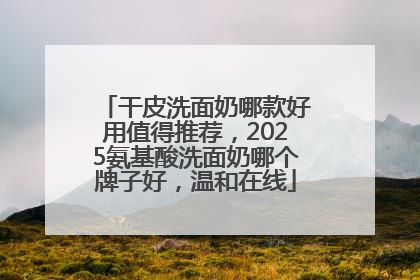干皮洗面奶哪款好用值得推荐，2025氨基酸洗面奶哪个牌子好，温和在线