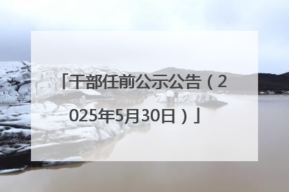 干部任前公示公告（2025年5月30日）