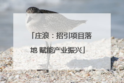 庄浪：招引项目落地 赋能产业振兴
