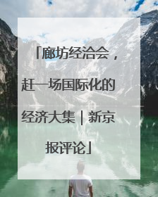 廊坊经洽会，赶一场国际化的经济大集｜新京报评论