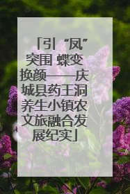 引“凤”突围 蝶变换颜——庆城县药王洞养生小镇农文旅融合发展纪实