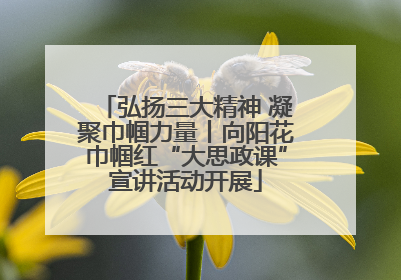 弘扬三大精神 凝聚巾帼力量丨向阳花巾帼红“大思政课”宣讲活动开展