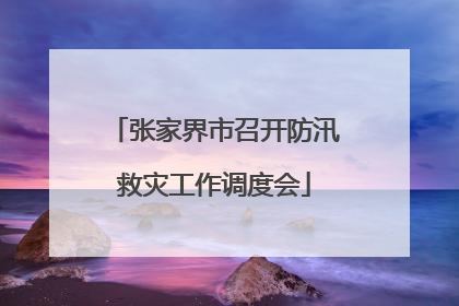 张家界市召开防汛救灾工作调度会