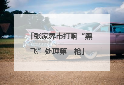 张家界市打响“黑飞”处理第一枪