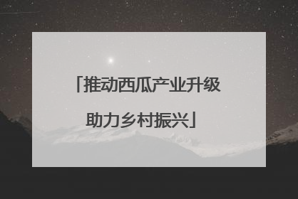 推动西瓜产业升级 助力乡村振兴