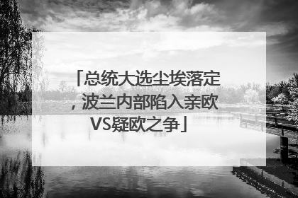 总统大选尘埃落定，波兰内部陷入亲欧VS疑欧之争
