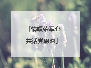 情暖荣军心 共话党恩深