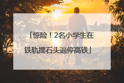惊险！2名小学生在铁轨摆石头逼停高铁
