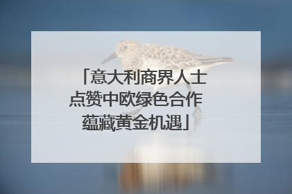 意大利商界人士点赞中欧绿色合作蕴藏黄金机遇