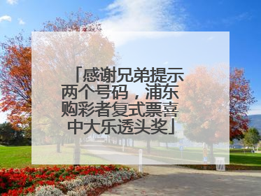 感谢兄弟提示两个号码，浦东购彩者复式票喜中大乐透头奖