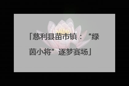 慈利县苗市镇：“绿茵小将”逐梦赛场