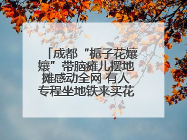 成都“栀子花孃孃”带脑瘫儿摆地摊感动全网 有人专程坐地铁来买花！丨封面头条