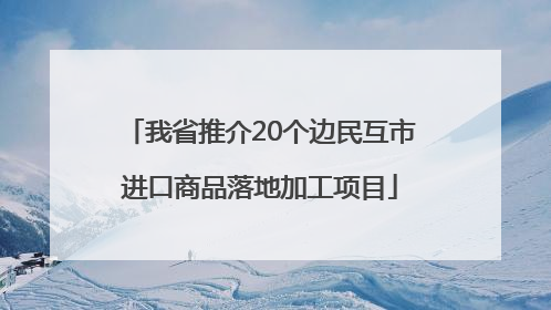 我省推介20个边民互市进口商品落地加工项目