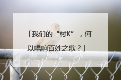 我们的“村K”，何以唱响百姓之歌？