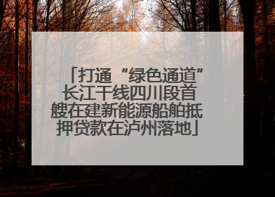 打通“绿色通道” 长江干线四川段首艘在建新能源船舶抵押贷款在泸州落地