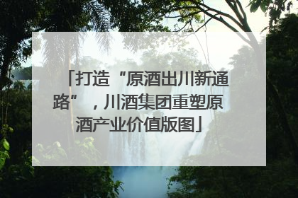 打造“原酒出川新通路”，川酒集团重塑原酒产业价值版图