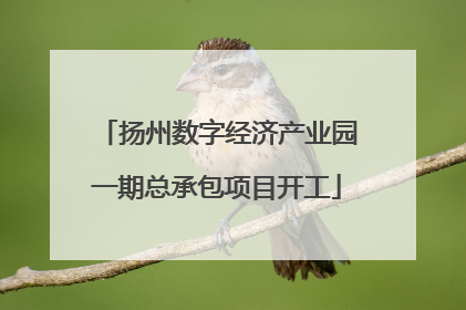 扬州数字经济产业园一期总承包项目开工