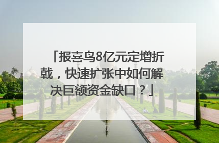 报喜鸟8亿元定增折戟，快速扩张中如何解决巨额资金缺口？