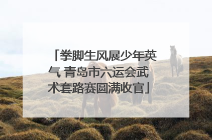拳脚生风展少年英气 青岛市六运会武术套路赛圆满收官