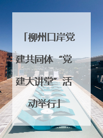 柳州口岸党建共同体“党建大讲堂”活动举行