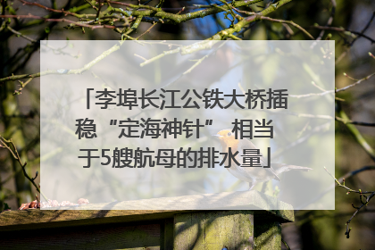李埠长江公铁大桥插稳“定海神针” 相当于5艘航母的排水量