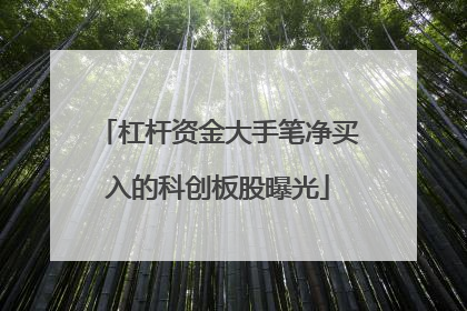 杠杆资金大手笔净买入的科创板股曝光