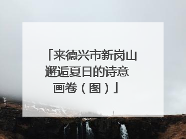 来德兴市新岗山 邂逅夏日的诗意画卷（图）