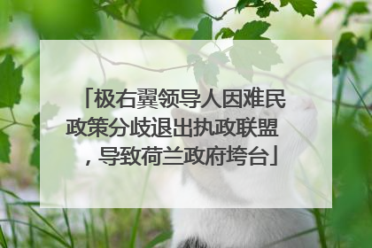 极右翼领导人因难民政策分歧退出执政联盟，导致荷兰政府垮台
