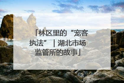 林区里的“宠客执法”｜湖北市场监管所的故事