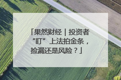 果然财经｜投资者“盯”上法拍金条，捡漏还是风险？