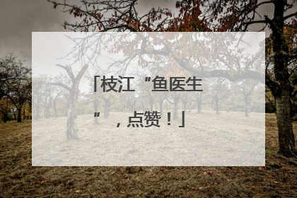 枝江“鱼医生”，点赞！