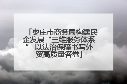 枣庄市商务局构建民企发展“三维服务体系” 以法治保障书写外贸高质量答卷