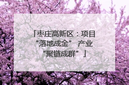 枣庄高新区：项目“落地成金” 产业“聚链成群”