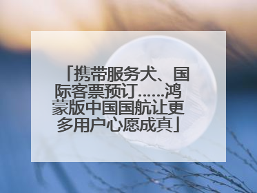 携带服务犬、国际客票预订……鸿蒙版中国国航让更多用户心愿成真