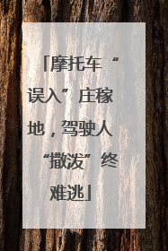 摩托车“误入”庄稼地，驾驶人“撒泼”终难逃
